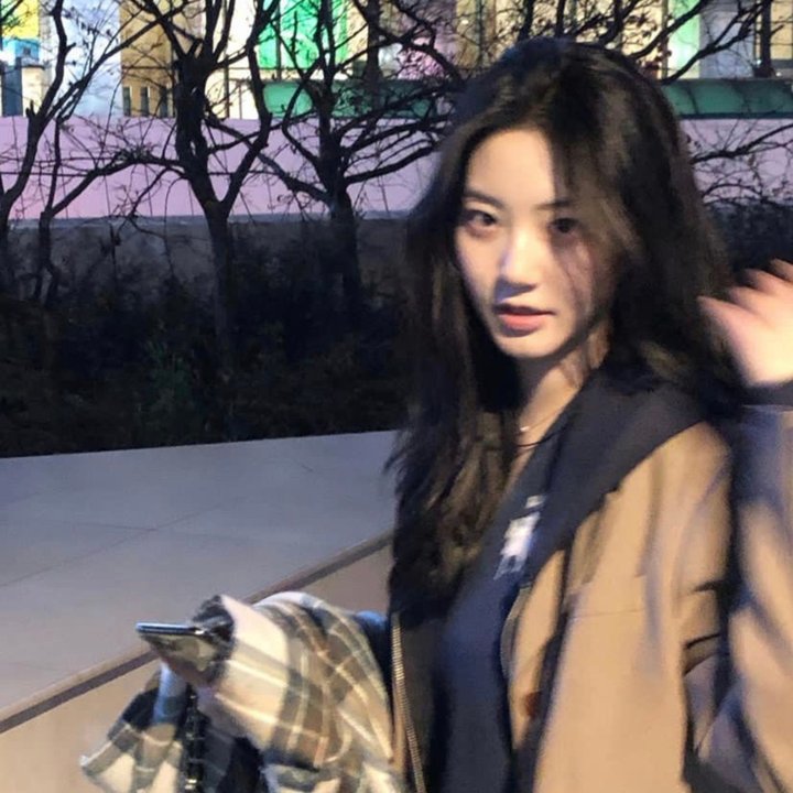 游击飞行中队