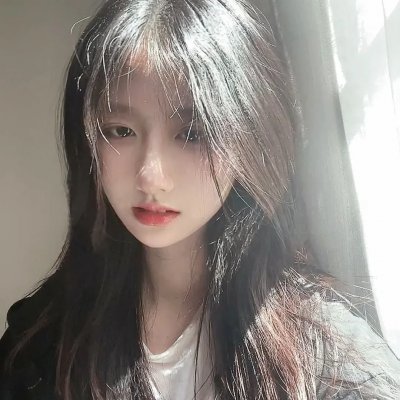 阿妮塔与加里波第